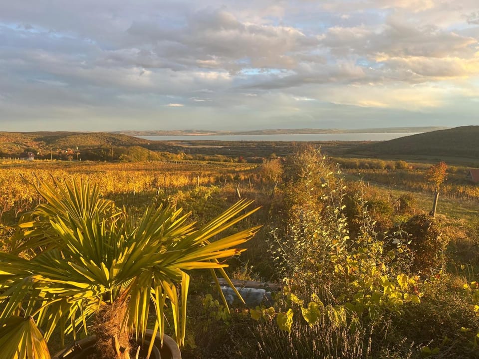 Panorama, Balaton House in Hungary
