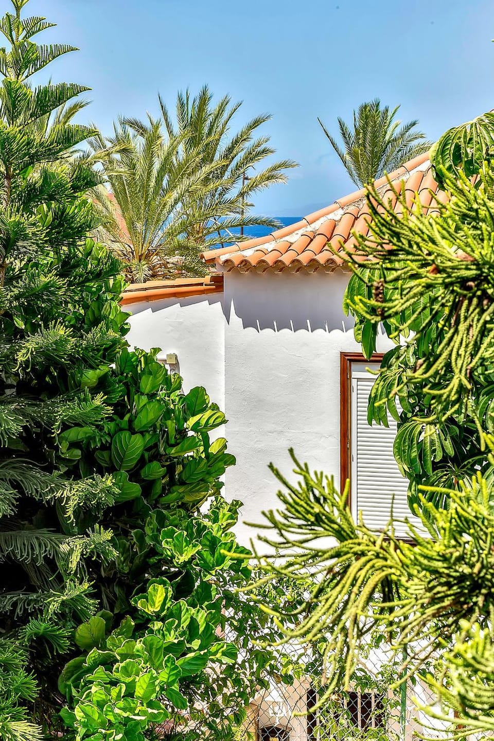 Garden view