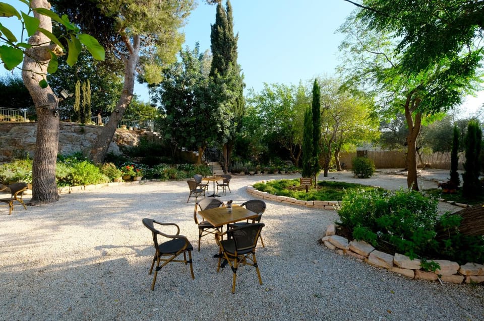 Garden, Banquet/Function facilities, Garden view