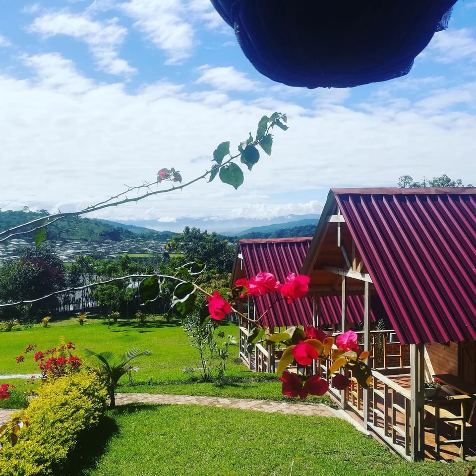 Garden, Garden view