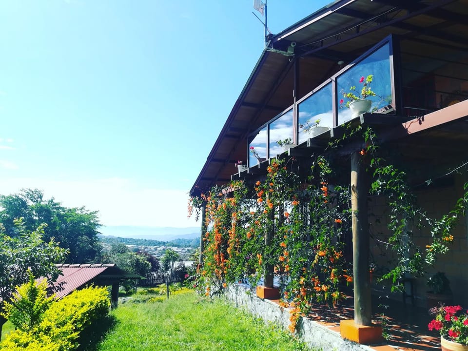 Property building, Garden
