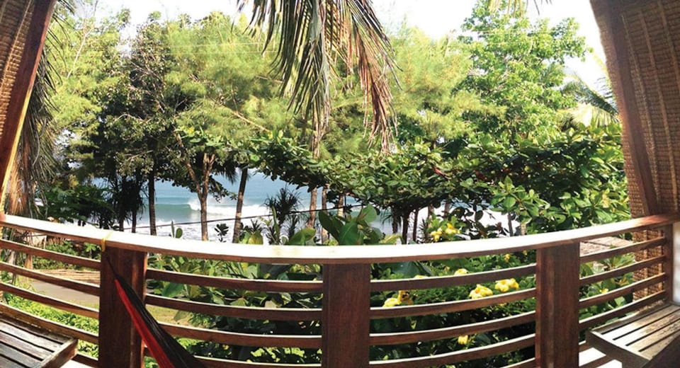 Restaurant/places to eat, Day, BBQ facilities, Garden, Library, Balcony/Terrace, Lobby or reception, Beach, Communal kitchen, On site, Garden view, Sea view