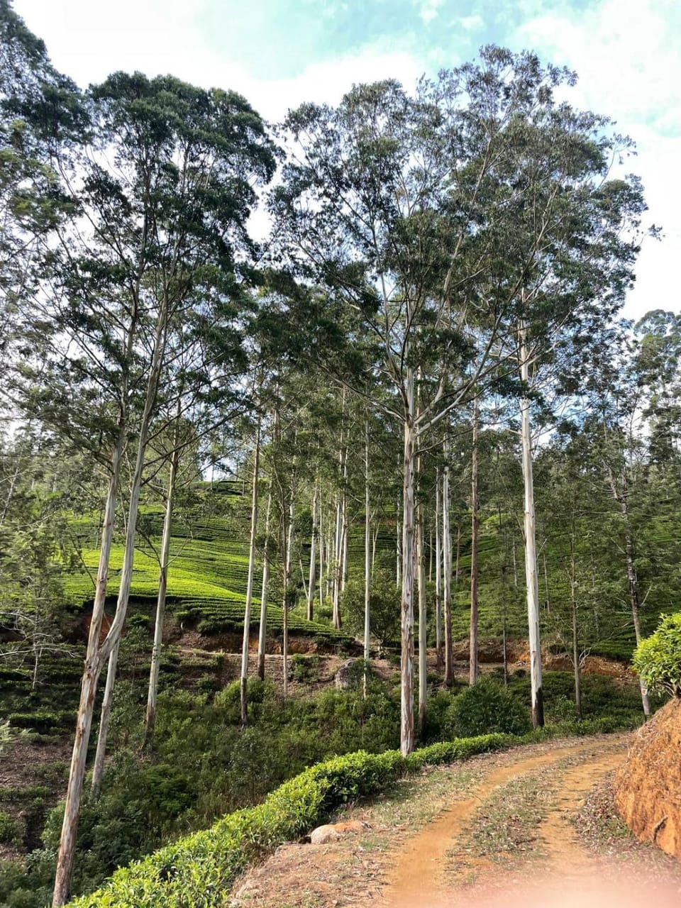 The View at Glenloch - Home Stay Vacation rental in Central Province