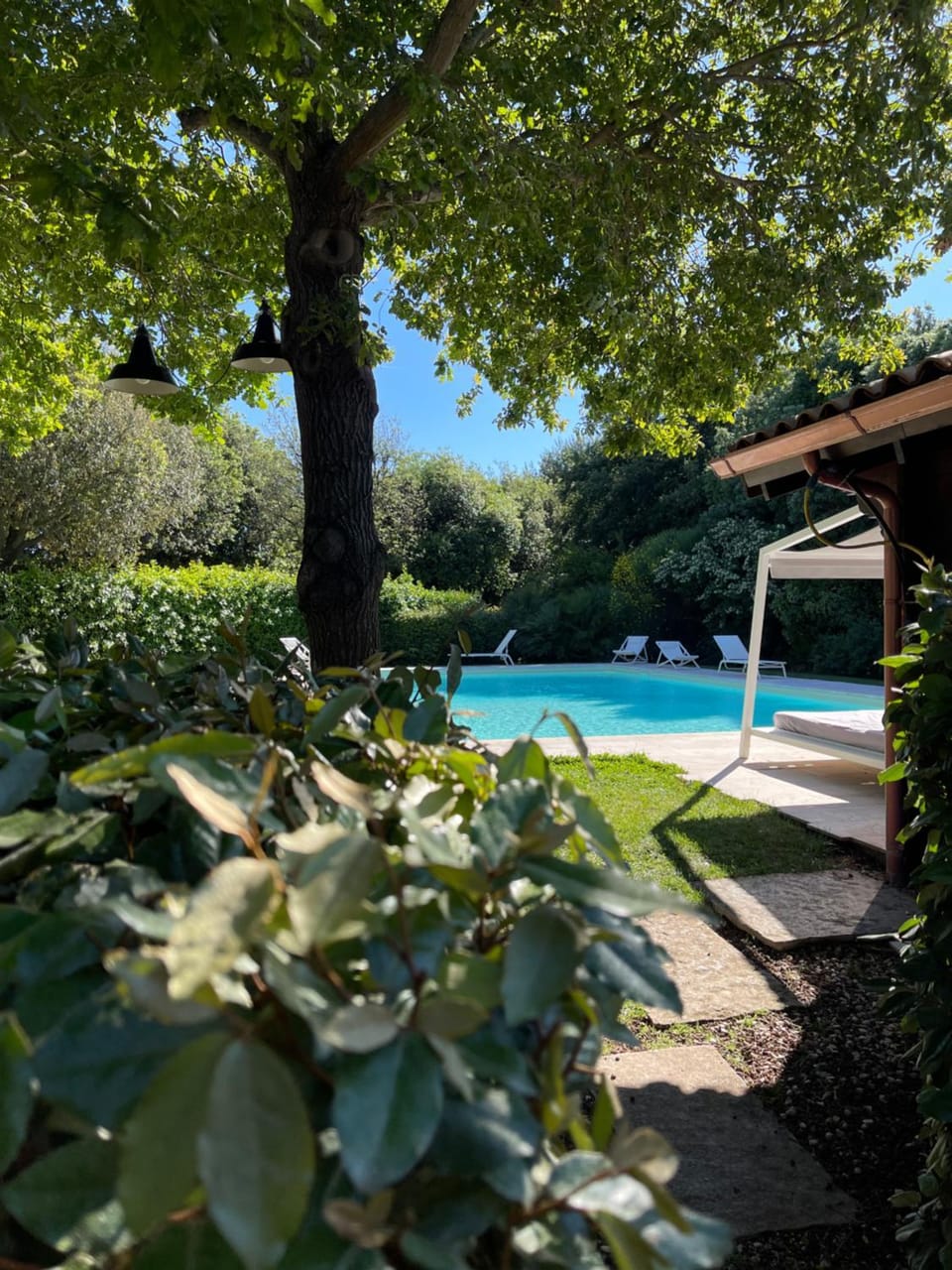 Natural landscape, Pool view