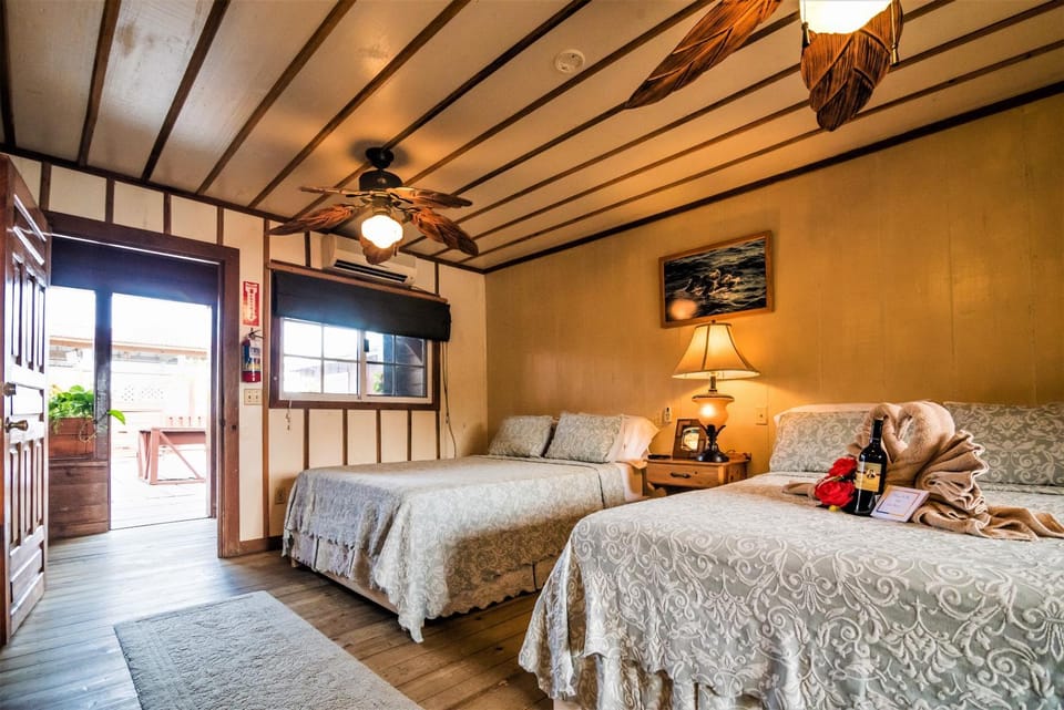 Bed, Photo of the whole room, Sea view