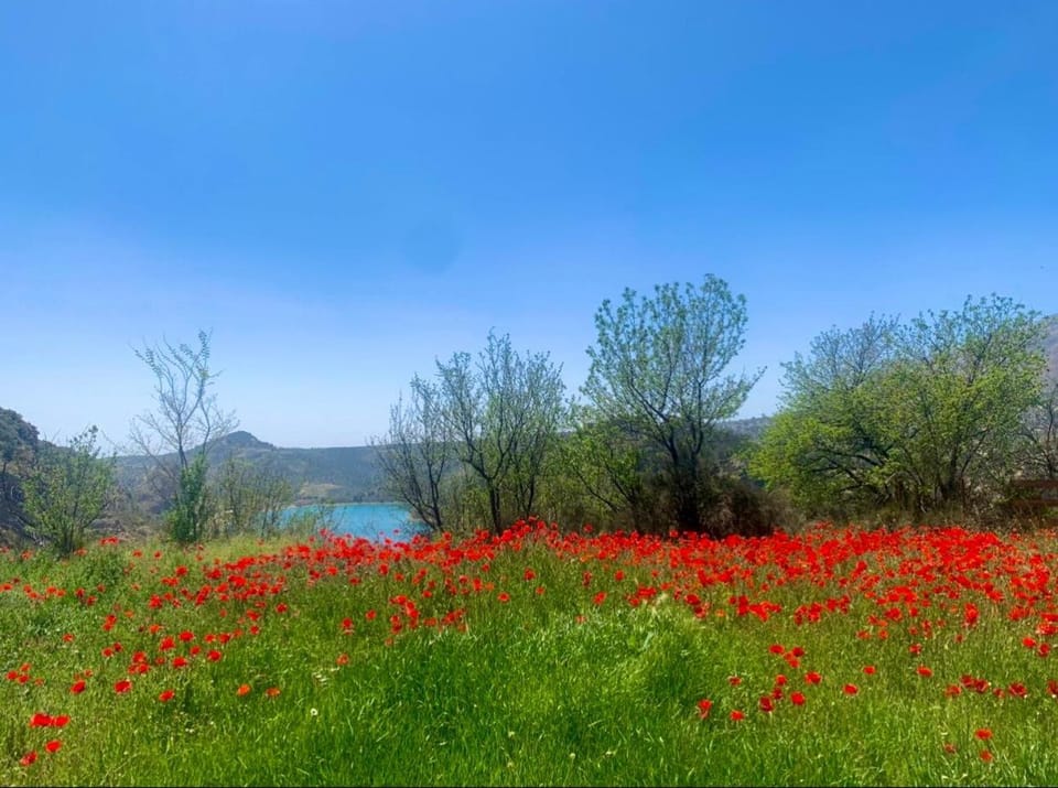 Off site, Natural landscape, On site
