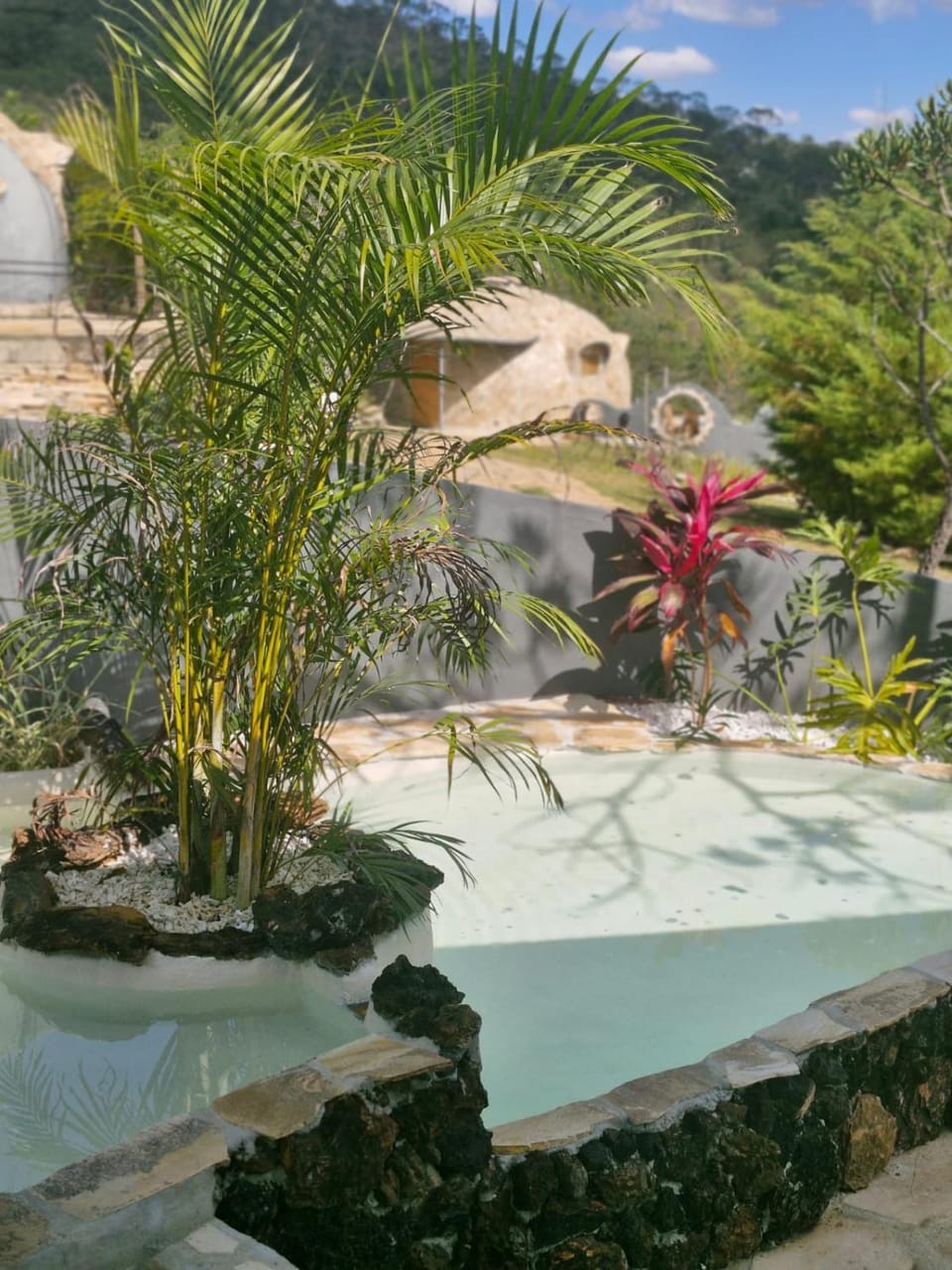 Garden, Garden view, Pool view, Swimming pool