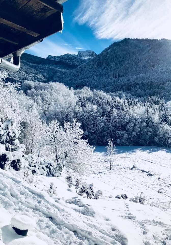 Chalet Eterlou Apartment in Haute-Savoie