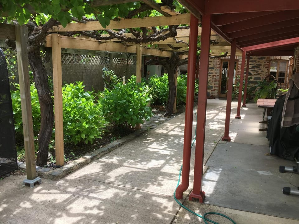 Garden view