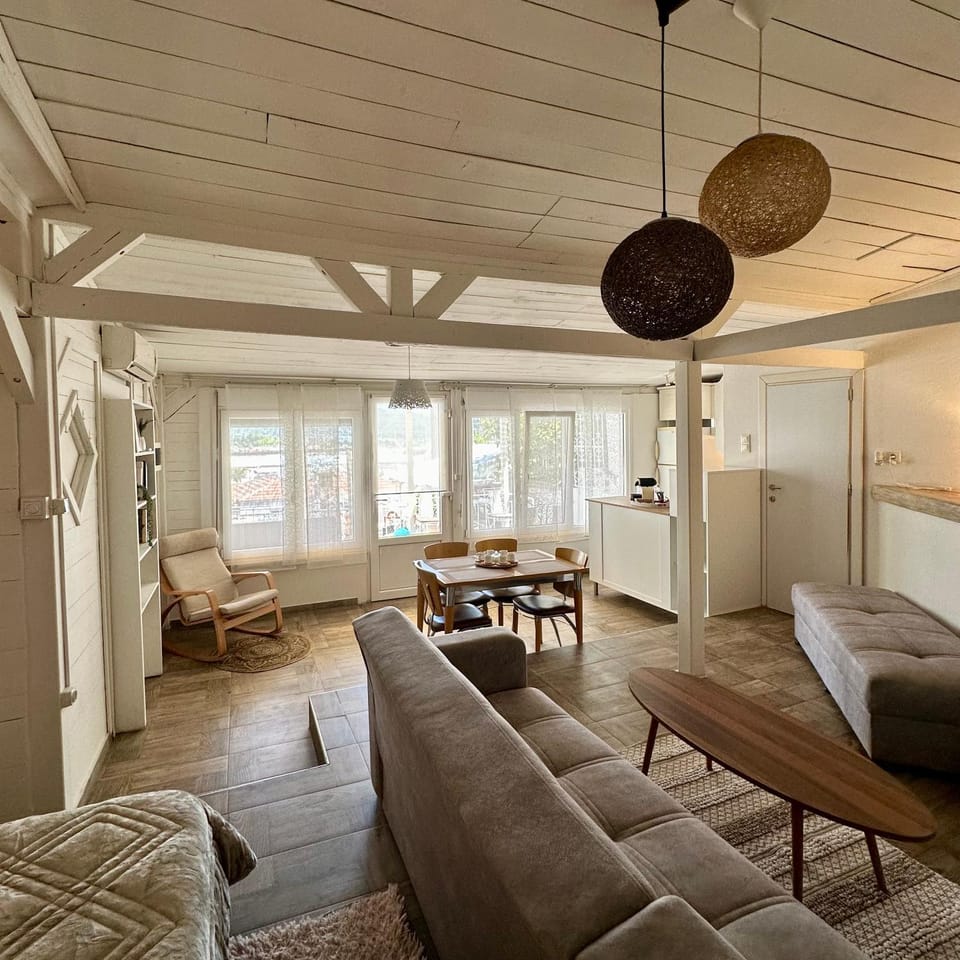 Bed, Kitchen or kitchenette, Living room, Photo of the whole room, Seating area