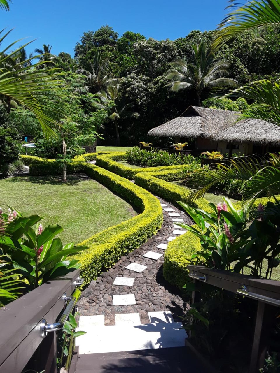Bird's eye view, Garden view