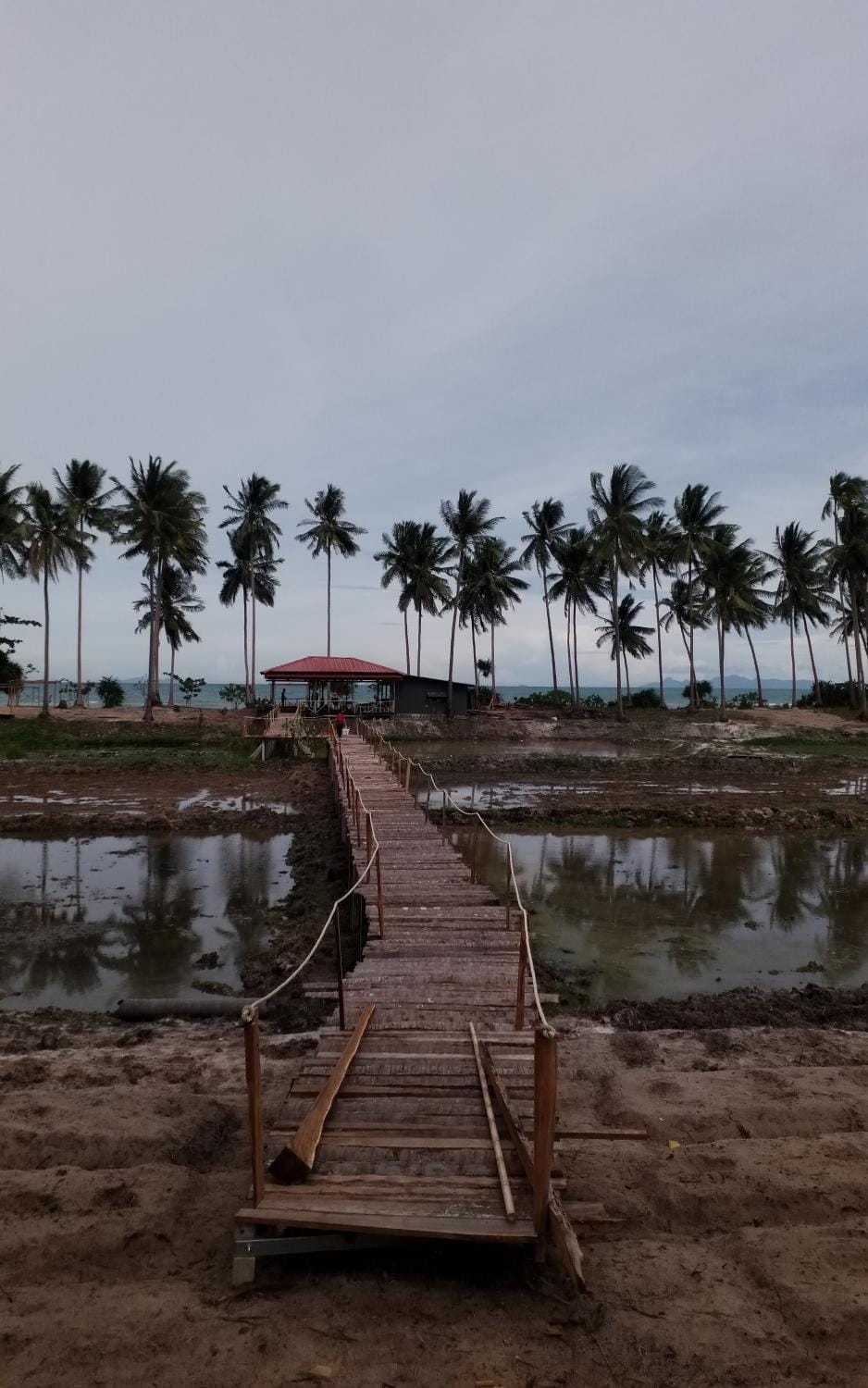 I - Talay Taling Ngam Samui - เขา ป่า นา เล ตลิ่งงาม สมุย Resort in Ko Samui