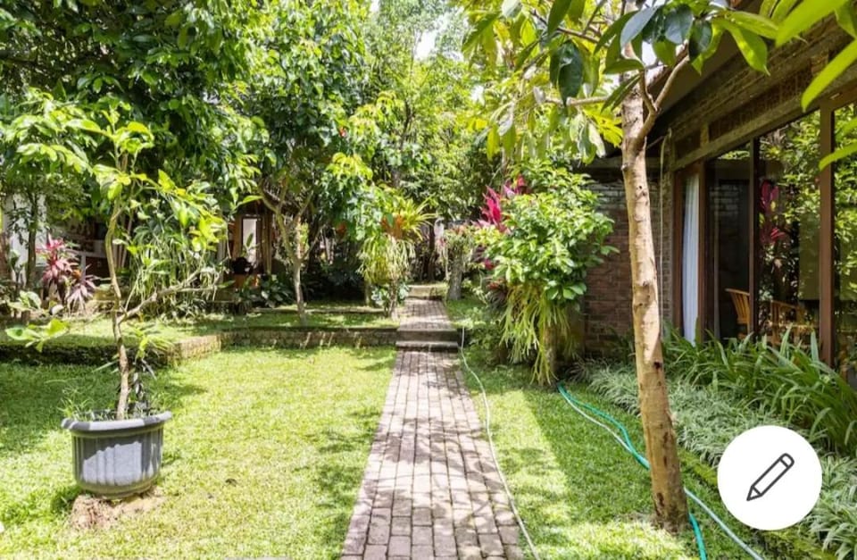 Day, Natural landscape, Garden, Garden view