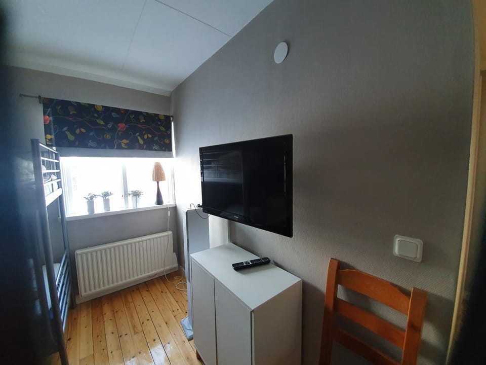 TV and multimedia