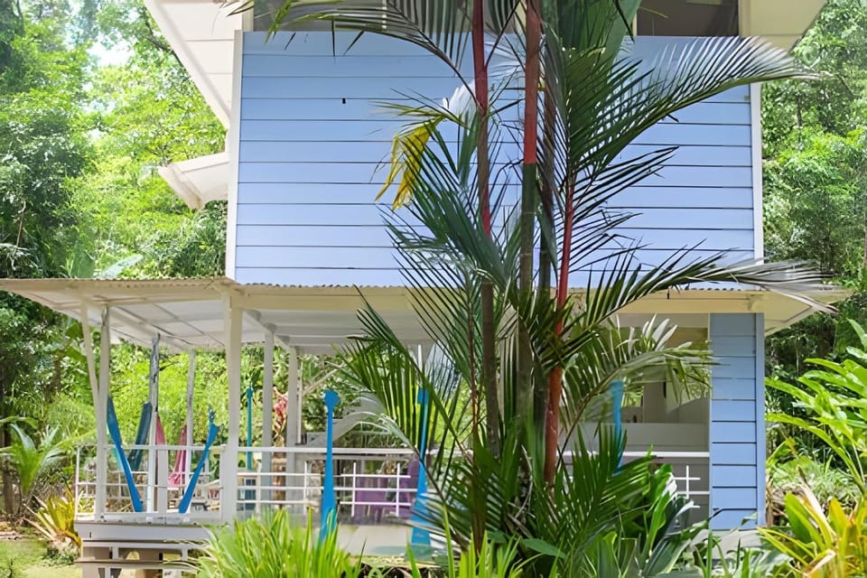 Jungle Dreamz House in Panama