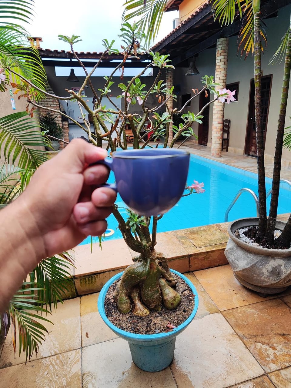 Swimming pool