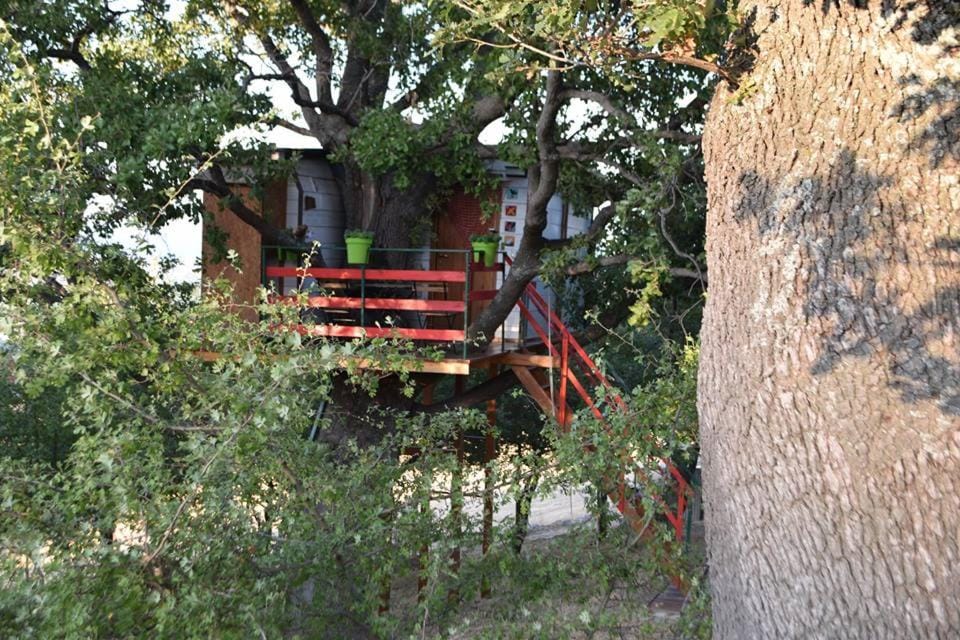 Casa sull'Albero House in Molise, Italy