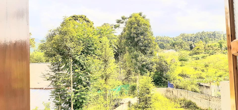 Natural landscape, Garden, Garden view