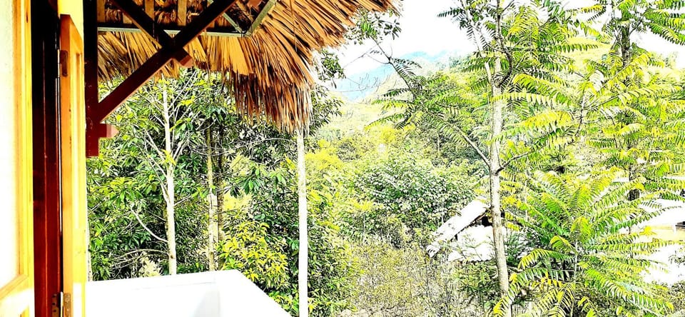 Natural landscape
