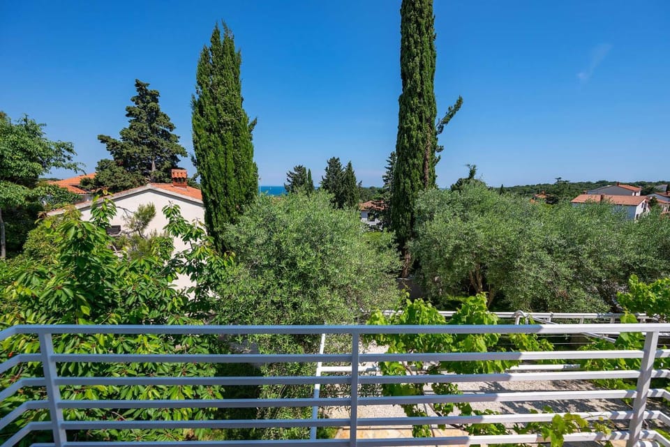 View (from property/room), Balcony/Terrace