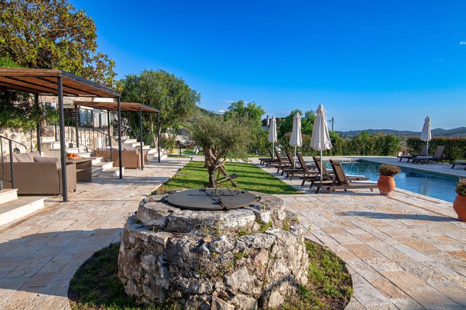 Day, Natural landscape, Garden, Garden view, Pool view, Swimming pool, sunbed