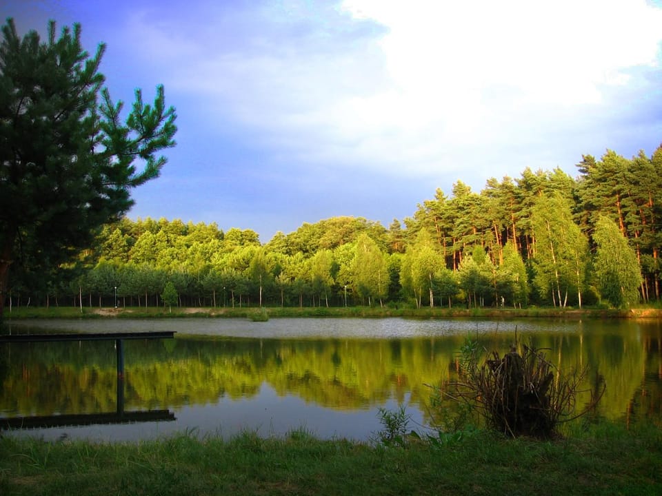Activities, Summer, Hiking, Cycling
