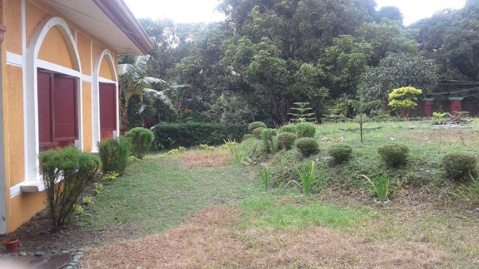 Garden view, Sunrise