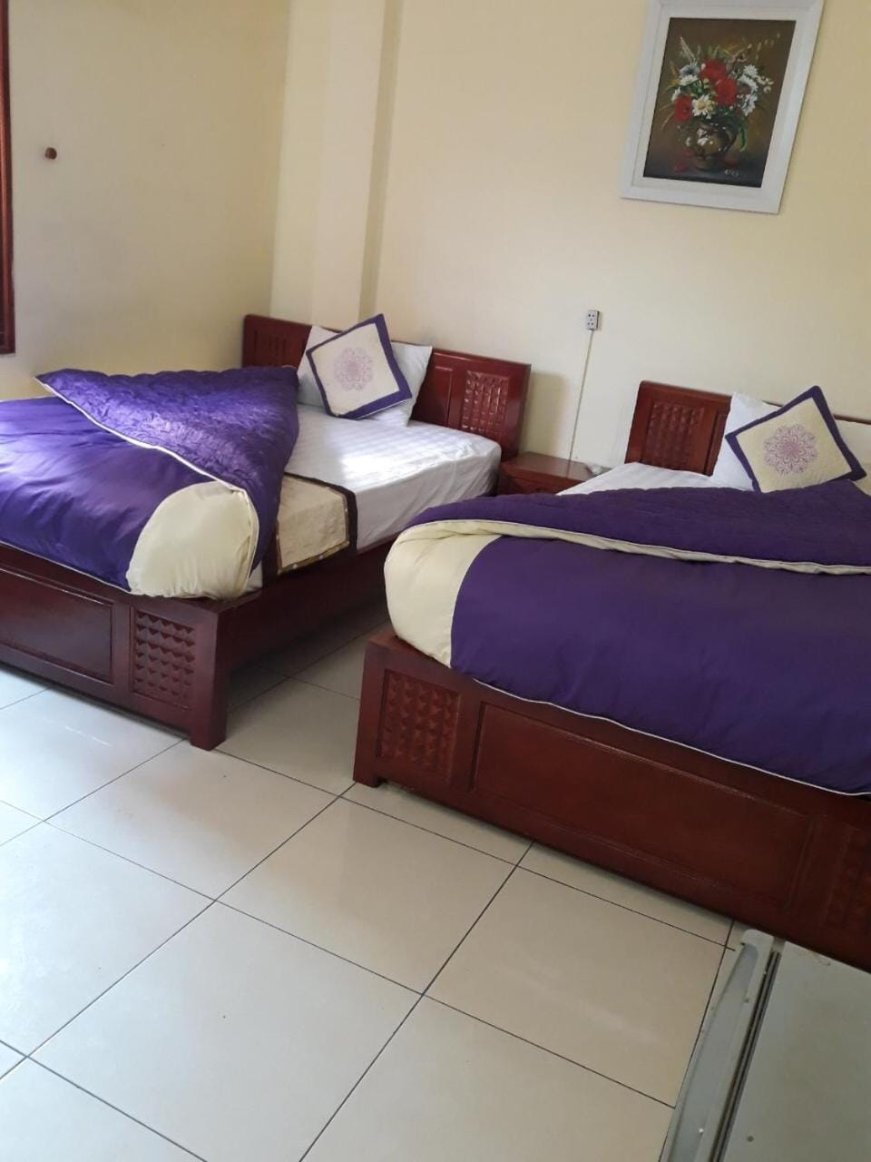 Tuan Minh Guest House Bed and Breakfast in Laos