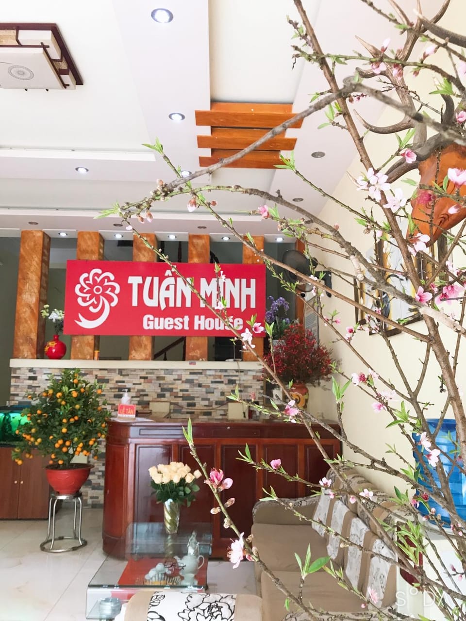 Tuan Minh Guest House Bed and Breakfast in Laos