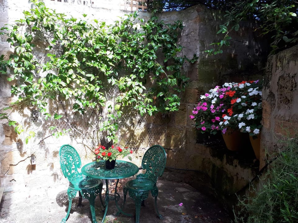 Patio, Garden