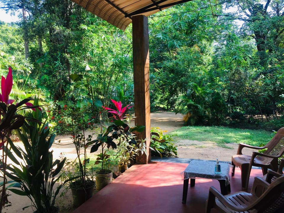 Garden view