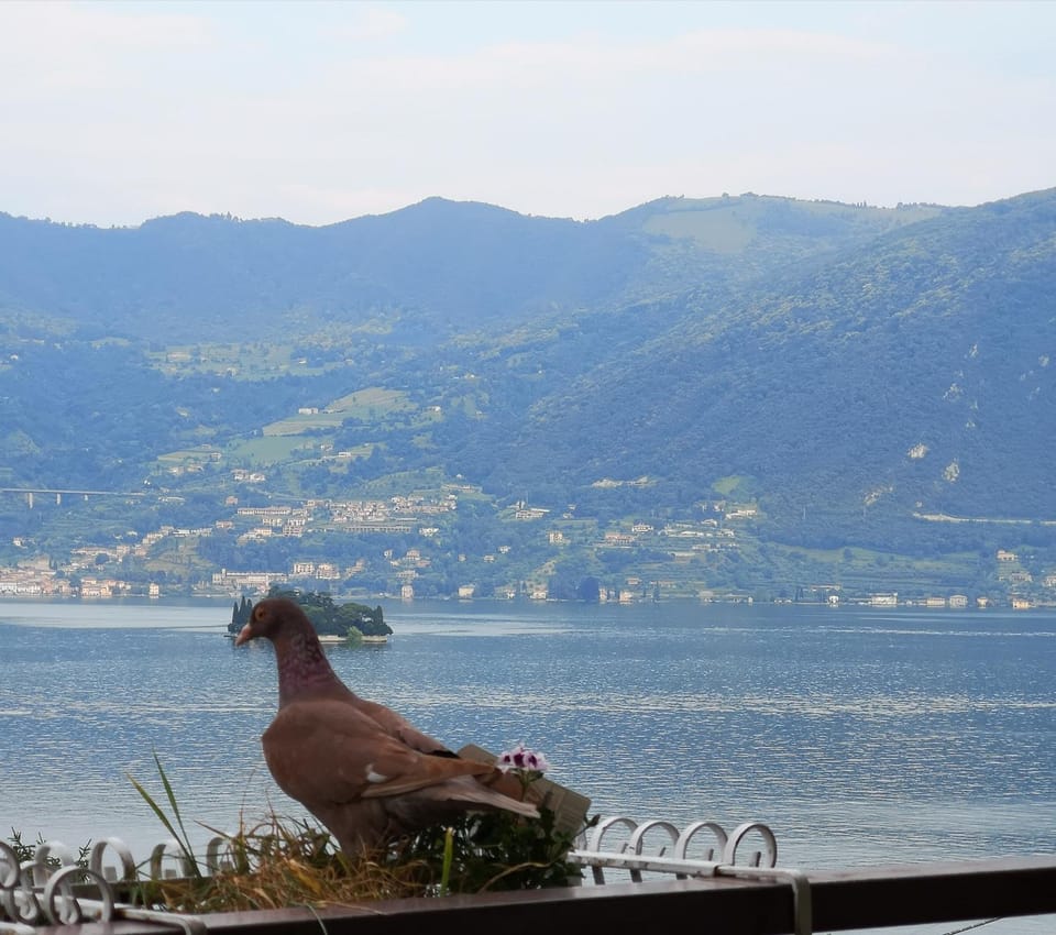 View (from property/room), Balcony/Terrace, City view, Garden view, Lake view, Landmark view, Mountain view