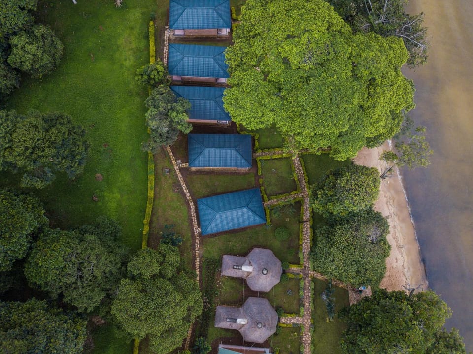 Bird's eye view, Garden view