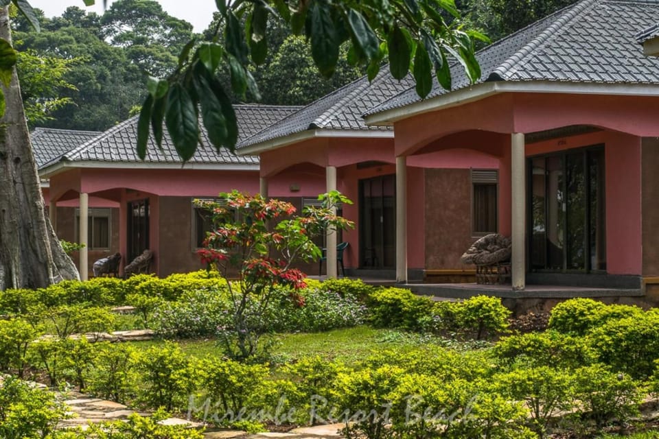 Property building, Facade/entrance, Garden
