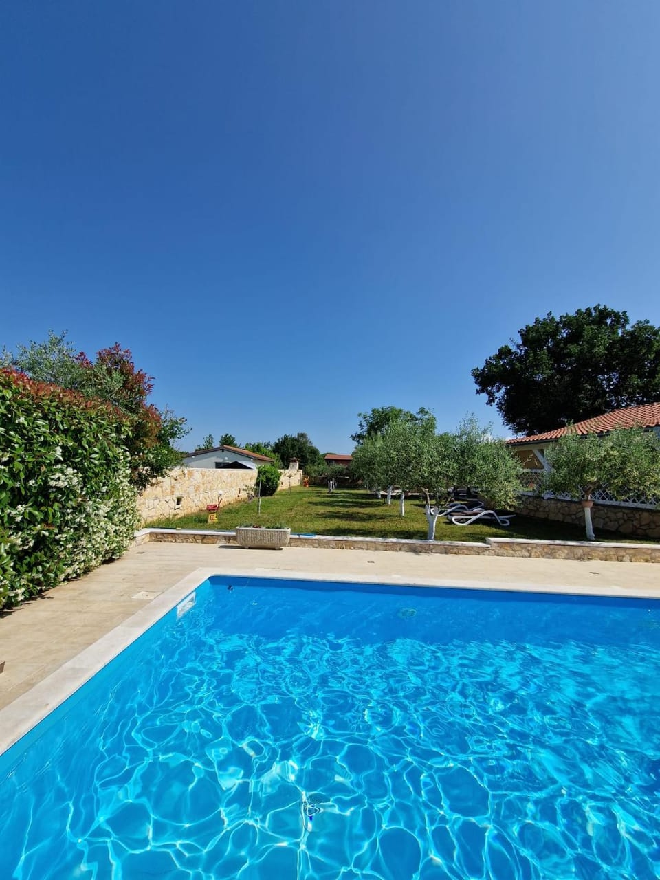 Garden, Garden view, Swimming pool, sunbed