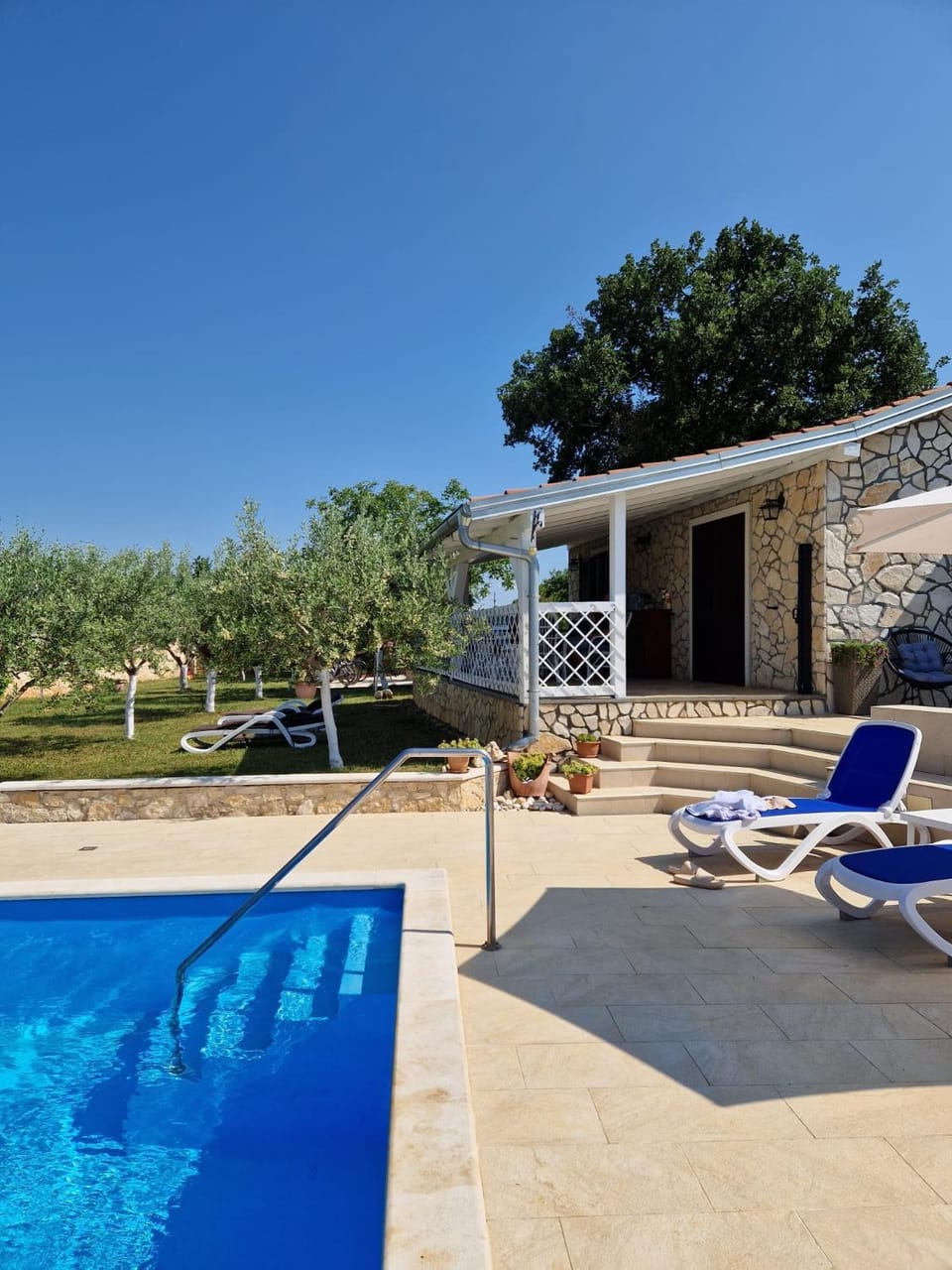 Garden, Balcony/Terrace, Garden view, Pool view, Swimming pool, sunbed