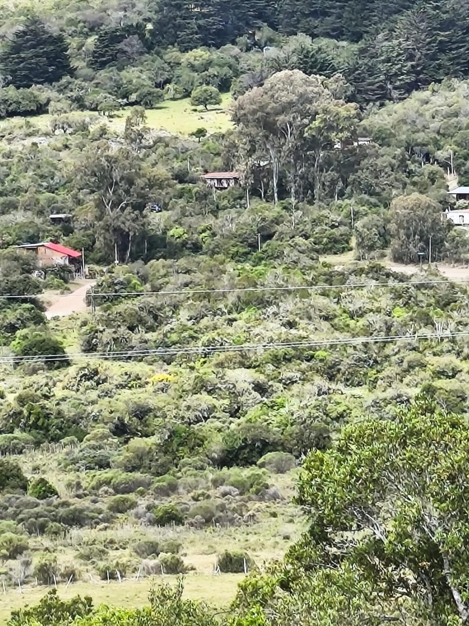 Natural landscape