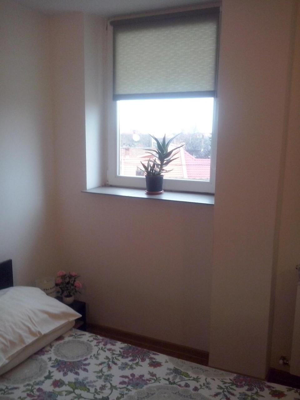 Timeea`s Home Apartment in Sibiu
