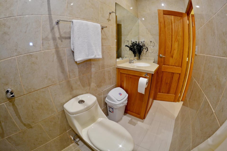 Shower, Bathroom, Bathroom, Decorative detail