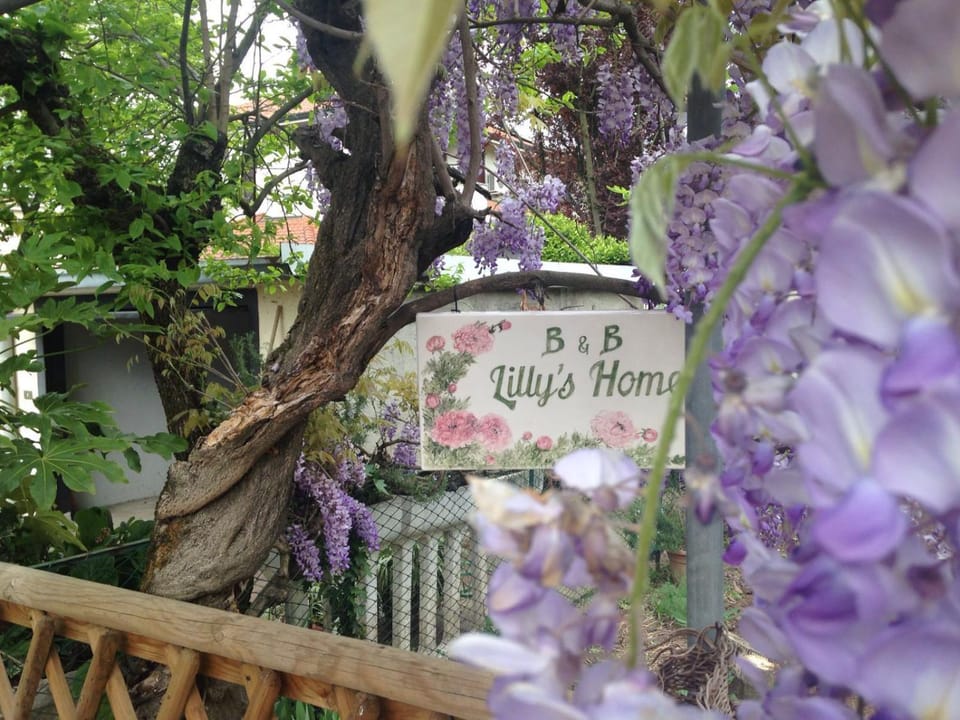 Property logo or sign, Garden, Garden view