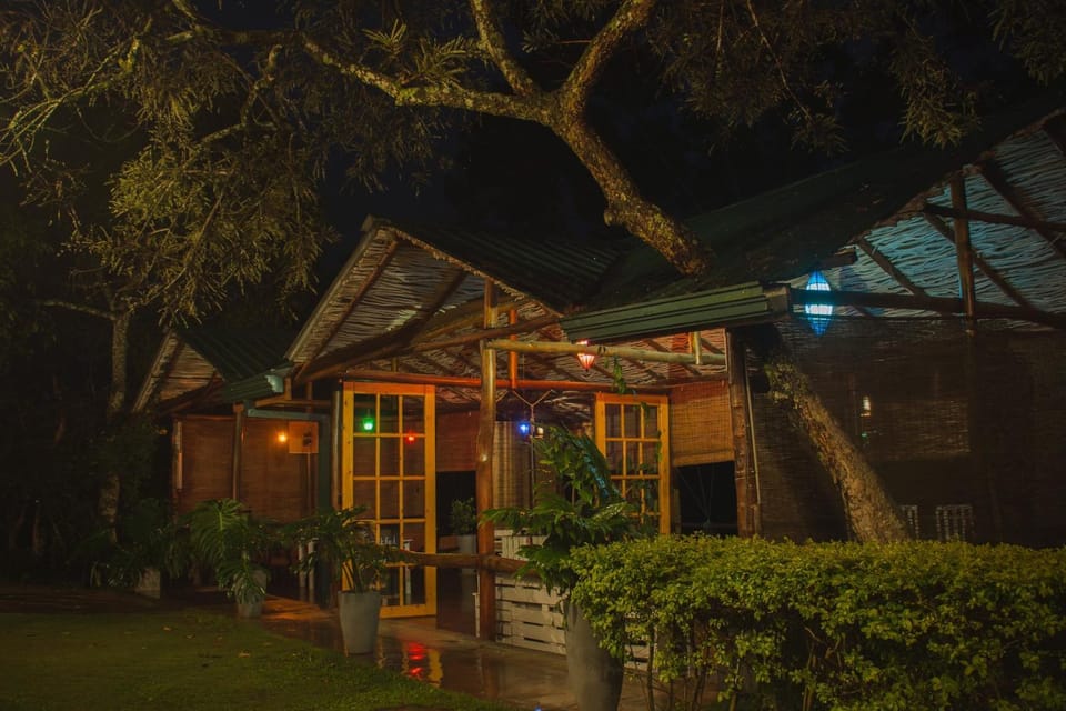 Property building, Restaurant/places to eat, Night, Garden