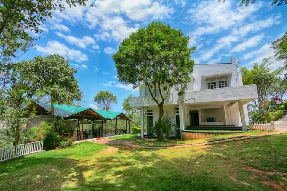 Property building, Day, Garden