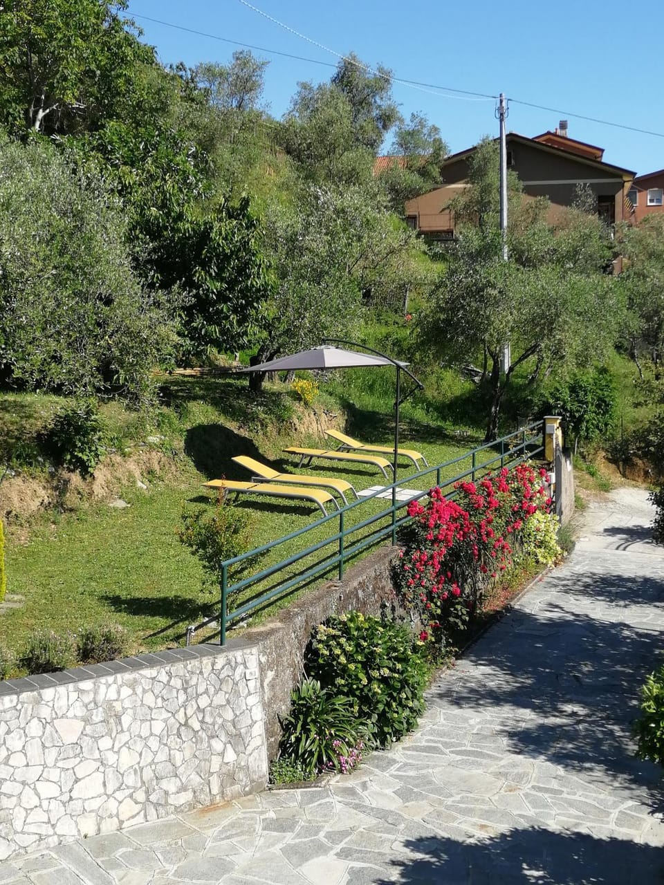 Garden, Garden, Garden view