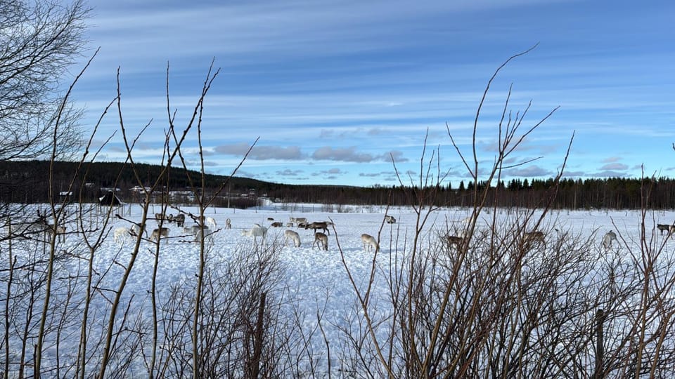 Day, Natural landscape, Winter
