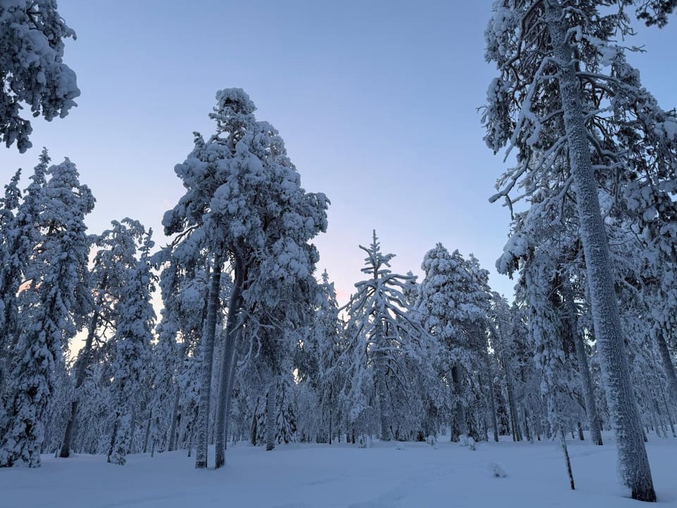 Day, Natural landscape, Winter