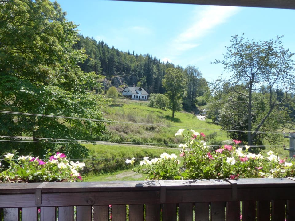 Bizoní dvůr Bed and Breakfast in South Bohemian Region