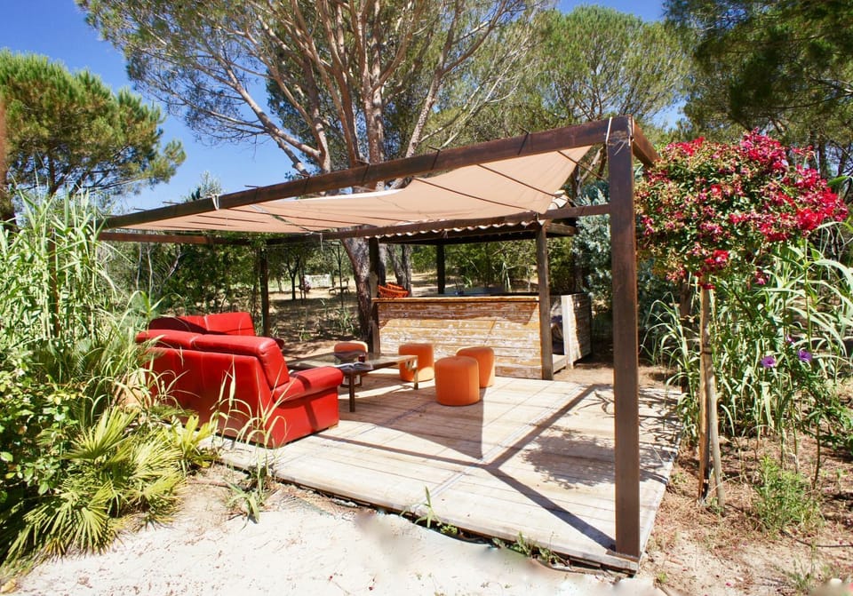 Lounge or bar