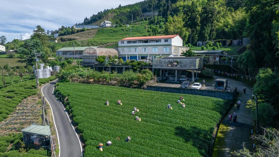 Property building, Day, Natural landscape, Bird's eye view