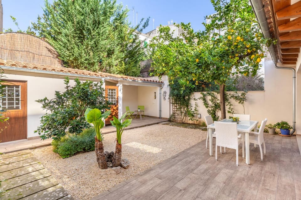 Patio, Garden