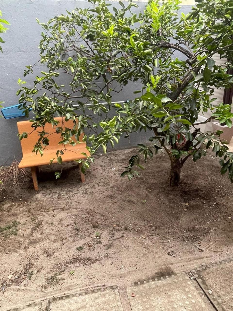 Casa em Maracaipe/Porto de Galinhas House in Ipojuca